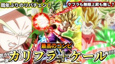 【ドッカンバトル】1分でわかる！カリフラ＋ケール【性能解説】