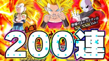 カリフラ＋ケールを狙って200連ガチャ昇龍祭すんごいじゃん！【ドッカンバトル】