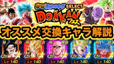 GW2025セレクトドッカンフェスおすすめ交換キャラ解説‼︎【ドッカンバトル】【Dragon Ball Z Dokkan Battle】