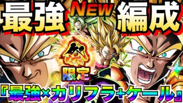 『負ける可能性0』祭カリフラ+ケール最強編成に参戦！！更に強化の10周年がクッソ楽しすぎんぞ！！【ドッカンバトル】【地球育ちのげるし】
