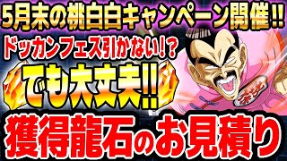 【マル秘情報あります】桃白白キャンペーンで増える龍石のお見積り｜ドッカンバトル【ソニオTV】