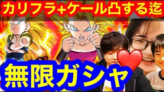 【ドッカンバトル 閲覧注意 昇龍祭 凸するまで無限ガシャ 新カリフラ ケール  LR・カリフラ+ケール５１５の日 ベジット カリフラ ケール GWフェス ガシャ  ドカバト　ドラゴンボール
