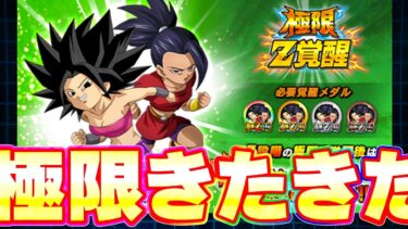 技のカリフラ&ケールの極限性能きたきたきたー【ドッカンバトル】
