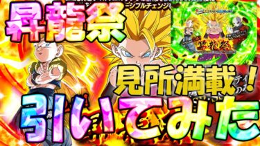 【ドッカンバトル】ピックアップが良い昇龍祭をチケット合わせて引いてみた【ゆっくり実況】