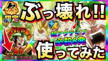 『初見忖度なし使用評価』祭カリフラ+ケール使ってみたら◯◯じゃねーか！！昇龍祭【ドッカンバトル】【地球育ちのげるし】