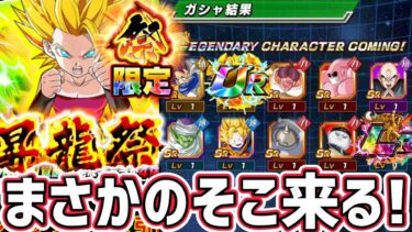 【ドッカンバトル】昇龍祭 新キャラカリフラ狙ってスペシャルチケットで21連と龍石で〇〇連！【DragonBallZDokkanBattle】