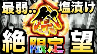 1年後に会いましょう..【ドッカンバトル】【地球育ちのげるし】