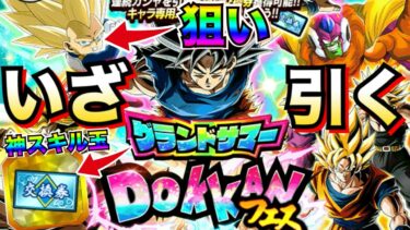さぁっ！！2回引くぞ！！『グランドサマードッカンフェス』神スキル玉＆DAIMAベジータ3ミニ狙い！！【ドッカンバトル】【地球育ちのげるし】
