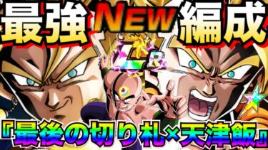 ぶっ壊れ大集結！！『最後の切り札×LR天津飯』最強編成！！【ドッカンバトル】【地球育ちのげるし】