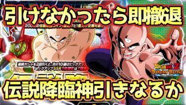 【ドッカンバトル】深追い厳禁！！！新天津飯狙いの伝説降臨で確定演出連発の奇跡！スルー推奨ガシャで目玉は当たるのか。。。。？