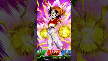 グランドサマードッカンフェス 龍石100ver. ガシャドッカンバトル ガチャ