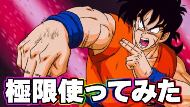 極限したヤムチャを使ってみたら強かったです【ドッカンバトル】