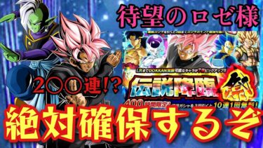 【ドッカンバトル】待望の神演出ロゼザマスを何としても手に入れたい実況者の死闘ガシャ