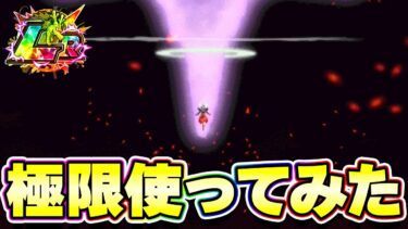 極限したLR合体ザマスを使ってみたらロゼパがさらに大化物になりました【ドッカンバトル】