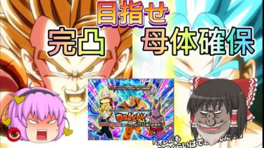 【ドッカンバトル】目指せ！龍石810個でゴジータ虹と新ベジット母体確保！【ゆっくり実況】