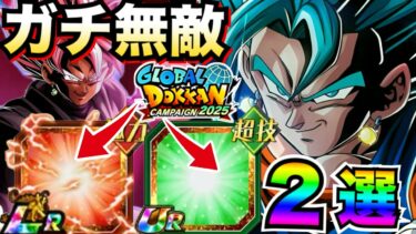 無敵..以上です。最強キャラ2選。【ドッカンバトル】【地球育ちのげるし】