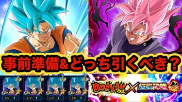 本日開催予定のドッカンフェス&伝説降臨祭事前準備&引く前に知っておくべき注意点解説‼︎【ドッカンバトル】【Dragon Ball Z Dokkan Battle】