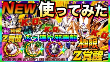 運営がやりすぎた..極限＆超極限『超一星龍＆一星龍＆邪悪龍軍団』トゲピー最強編成クッソ◯◯じゃねーか！！【ドッカンバトル】【地球育ちのげるし】