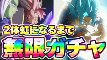 【無限ガチャ】七夕ロゼザマスとブルーコンビが虹になるまでぶん回し【ドッカンバトル】