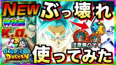 全てが最高峰『リバチェンLRベジットブルー』使ってみたらくっそ最高じゃねーか！！グローバルCP【ドッカンバトル】【地球育ちのげるし】
