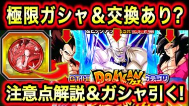 「優秀極限組！引く＆交換するべき？」極限ドッカンフェス引くべきか？コイン交換するべきか解説＆実験体としてガシャ引く！【ドッカンバトル】
