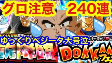 【ドッカンバトル  グローバルCP前半ガシャ 閲覧注意240連目迄 デイリー課金頑張った龍石全ブッパ 両ガシャでリベンジ】祭 ドッカンフェス　 　ベジット ロゼ ザマス【 ドカバト　ドラゴンボール