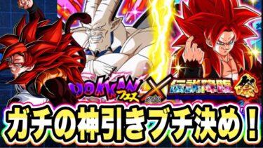 【ドッカンバトル】待望の後半ガシャ開幕！最強すぎる超サイヤ人4ゴジータを狙って伝説降臨祭を全力引きした結果凄まじいことに！？【Dragon Ball Z Dokkan Battle】