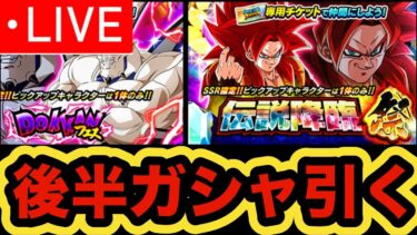 後半ドッカンフェス&伝説降臨祭引く枠【ドッカンバトル】【Dragon Ball Z Dokkan Battle】
