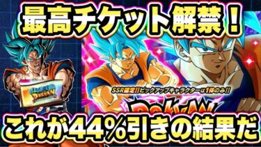 【ドッカンバトル】最強の新キャラ2体ぶち抜くか！チケットグローバルドッカンフェス×伝説降臨祭の結果は！？【Dragon Ball Z Dokkan Battle】