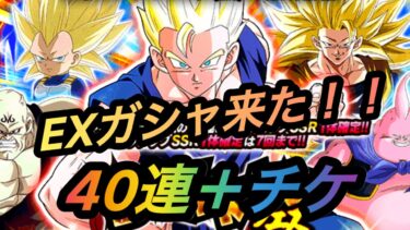 欲しいのは2体だけ！！少ない龍石で狙ってみた！【ドッカンバトル】
