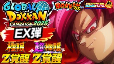 全ユーザー期待！！急ぎの極限実装からの『グローバルCP EX弾』について..【ドッカンバトル】【地球育ちのげるし】