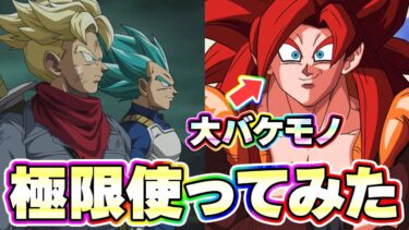 極限したギャリック親子と知ゴジータ4を使ってみたら大化物でした【ドッカンバトル】
