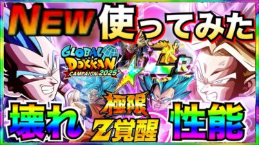 これヤバすぎ..『仲間に無限上昇』極限『LR親子ギャリック』最強編成で使ったら◯◯じゃねーか！！最強サブキャラも解説【ドッカンバトル】【地球育ちのげる